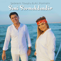 Şebnem Tovuzlu - Seni Sevmekdendir (Feat. Ali Pormehr) загрузить