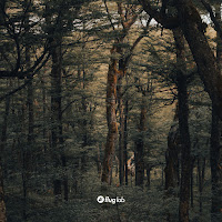 Serious Dancers - Ambitious Mamelop (Juan Deminicis & Aleski Remix) загрузить