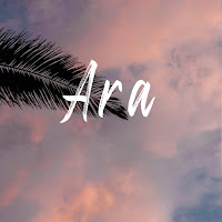 Shad Ovez - Ara загрузить