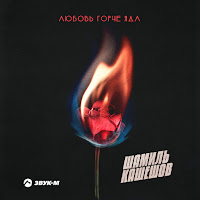 Шамиль Кашешов - Любовь Горче Яда загрузить