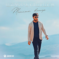 Шамиль Кашешов - Теплый Ветер загрузить
