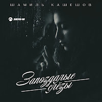 Шамиль Кашешов - Запоздалые Слёзы загрузить
