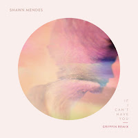 Shawn Mendes - If I Can't Have You (Gryffin Remix) загрузить