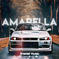 Shedef Music - Amadela (Bager Boldag Remix) (Feat. Bager Boldag) загрузить