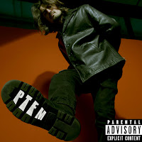 Slamjake - Ptfm загрузить