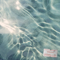 Snake City - Couldn't Care Less загрузить