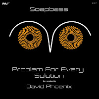 Soapbass - Problem For Every Solution (David Phoenix Remix) загрузить