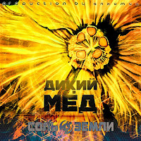 Соль Земли - Дикий Мёд загрузить