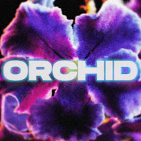 Solo Gas Rec - Orchid загрузить