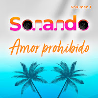 Sonando - Amor Prohibido загрузить
