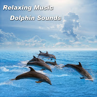 Spiritual Moment - Relaxing Music Dolphin Sounds загрузить