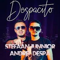 Stefaan Junnior - Despacito загрузить