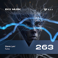 Steve Levi - Tuma загрузить