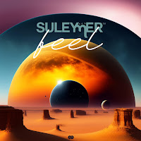 Suleymer - Feel загрузить
