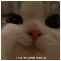 Teddy Specter - Chipi Chipi Chapa Chapa Dubi Dubi Daba Daba загрузить