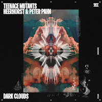 Teenage Mutants - Dark Clouds Ft Heerhorst & Peter Pahn загрузить