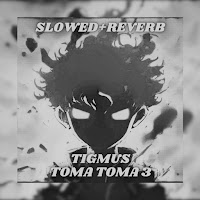 Tigmus - Toma Toma 3 (Brazilian Phonk) [Slowed + Reverb] загрузить