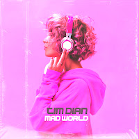 Tim Dian - Mad World (Cover) загрузить