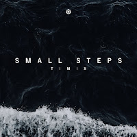 Timix - Small Steps загрузить