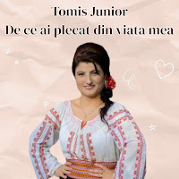 Tomis Junior - De Ce Ai Plecat Din Viata Mea загрузить