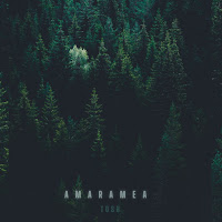 Tosh - Amara Mea загрузить