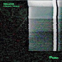 Trilucid - A Moment (Extended Mix) загрузить