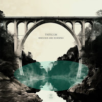Triticum - Bridges Are Burning загрузить