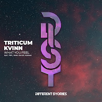 Triticum - What You Feel Ft Kvinn загрузить