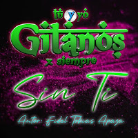 Tu Y Yo Alma Gitana - Sin Ti загрузить