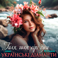 Українські Діаманти - Гиля, Гиля, Сірі Гуси (Dj Dzonik Remix) загрузить