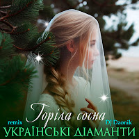 Українські Діаманти - Горіла Сосна (Dj Dzonik Remix) загрузить