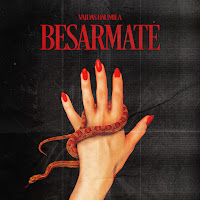 Vaidas Baumila - Besarmatė загрузить
