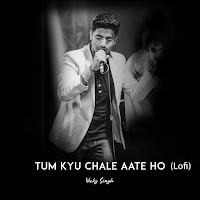 Vicky Singh - Tum Kyu Chale Ate Ho (Lofi) загрузить