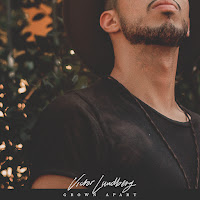 Victor Lundberg - Best For You (Feat. Steven Ellis) загрузить