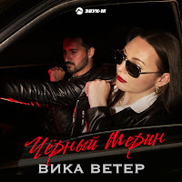 Вика Ветер - Чёрный Мерин загрузить