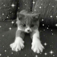 Violetta Sokolova - Котята Ft 5Mewmet загрузить