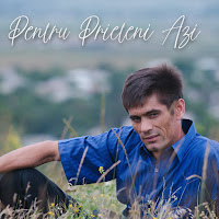 Viorel Mahu - Pentru Prieteni Azi Ft Mihai Falca загрузить