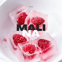 Vnas - Malina загрузить