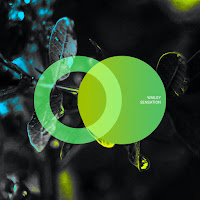 Wailey - Straw Of Doom загрузить