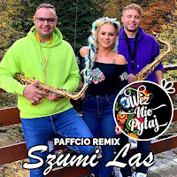 Weź Nie Pytaj - Szumi Las (Paffcio Remix) загрузить