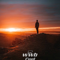 Whitewildbear - Feel загрузить