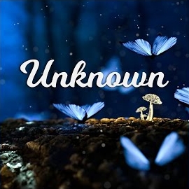 Winstar Media - Unknown загрузить