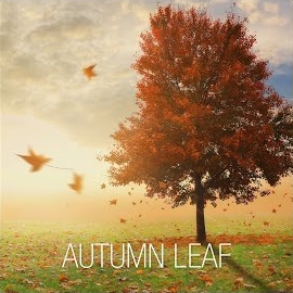 Winstar Records - Autumn Leaf загрузить