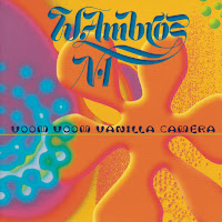 Wolfgang Ambros - A Langer Weg загрузить