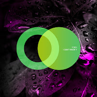 Y Do I - Fly With Y Do I загрузить