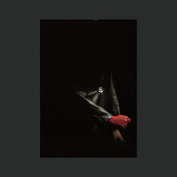 Yeah Yeah Yeahs - Lovebomb (Adult. Remix) mp3 скачать