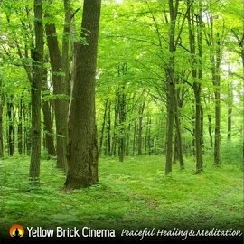 Yellow Brick Cinema - Heaven On Earth загрузить