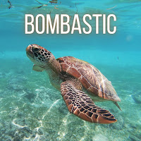 Yung Oogway - Bombastic Lova Lova загрузить