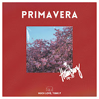 Yungpolar - Connection загрузить