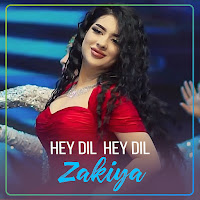 Zakiya - Hey Dil Hey Dil загрузить
